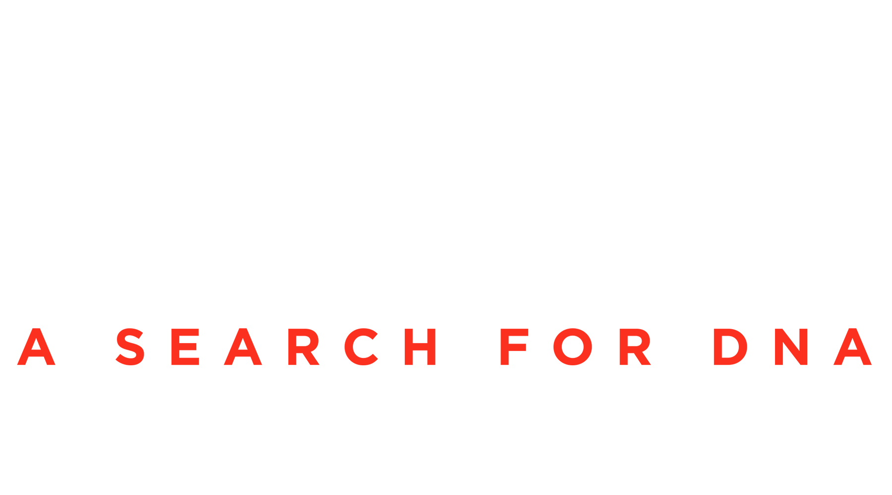 The Jesus Strand: A Search for DNA